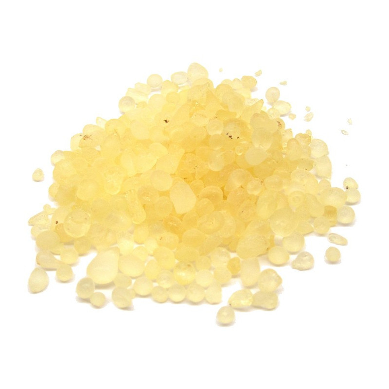 mastixharz-von-der-insel-chios-20g